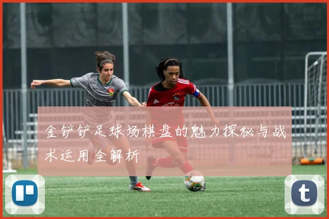 金铲铲足球场棋盘的魅力探秘与战术运用全解析