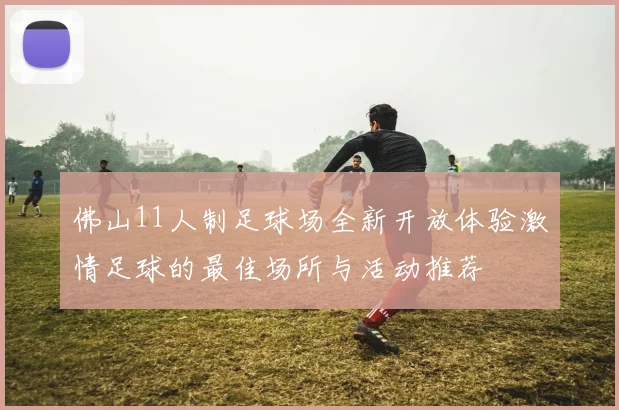 佛山11人制足球场全新开放体验激情足球的最佳场所与活动推荐
