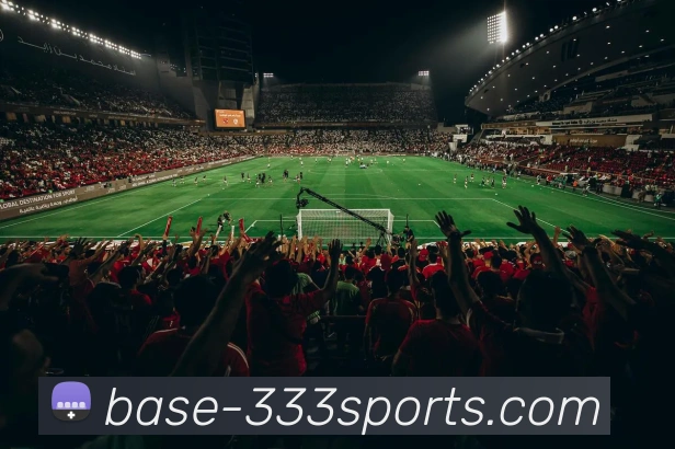 全网最全发展历程